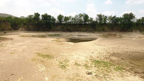 Dirt road amidst trees against sky