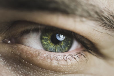 Close-up portrait of human eye