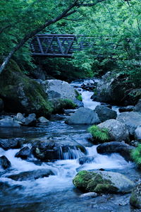 River flowing through rocks in forest
