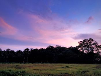 Trees on field against sky at sunset