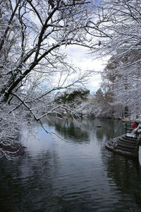Scenic view of river amidst bare trees