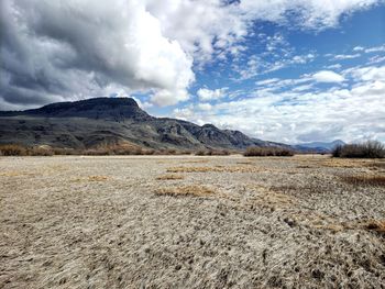 Scenic view of field against sky