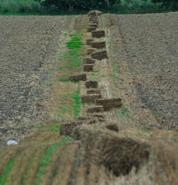 High angle view of tire tracks on dirt road