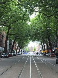 Cars on road in city