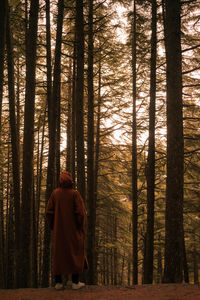 Rear view of man standing by trees in forest