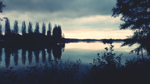 Reflection of trees in calm lake