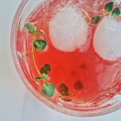 Directly above shot of fruits in glass on table