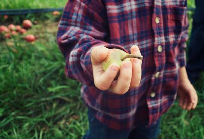 Midsection of man holding pumpkin in farm