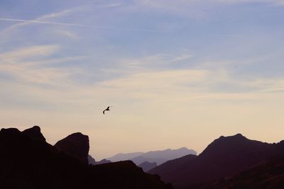 Low angle view of silhouette bird flying over mountains against sky