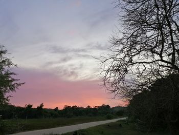 Silhouette trees on field against sky during sunset