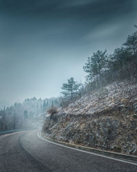 Road amidst trees against sky during winter