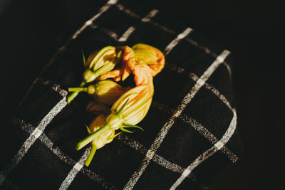 High angle view of tomatoes on rope against black background