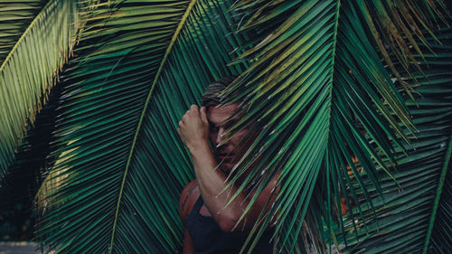 Low angle view of palm tree