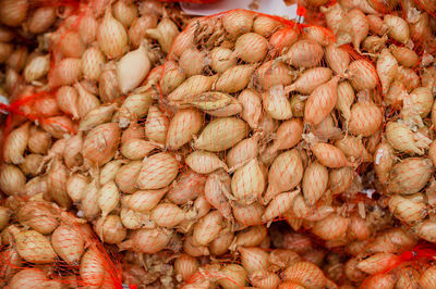 Onions in large bags. storage and drying of large bulbs