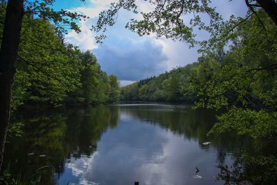 Scenic view of lake by trees against sky