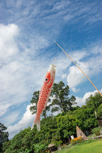 Low angle view of fish hanging on tree against sky