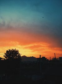 Silhouette of trees at sunset