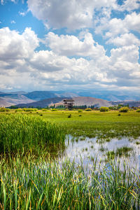 Scenic view of field against sky