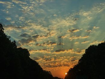 Low angle view of silhouette trees against sky during sunset