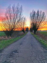 Bare tree on field against sky