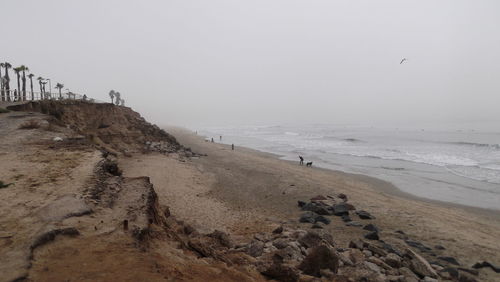 Scenic view of beach against clear sky