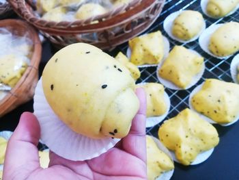 Close-up of hand holding fruits