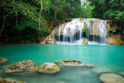 Scenic view of waterfall in forest