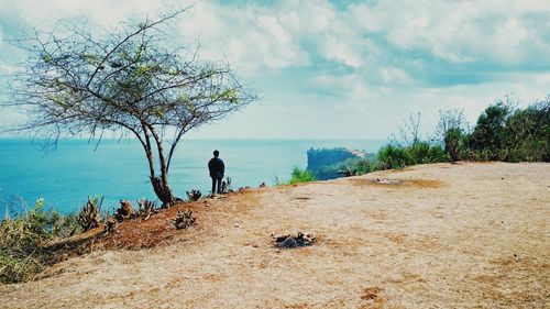 Rear view of man looking at sea against sky