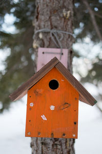 Close-up of birdhouse on tree trunk during winter