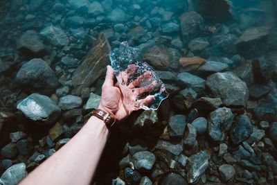 High angle view of hand holding crab by sea