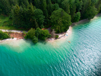 High angle view of trees by sea