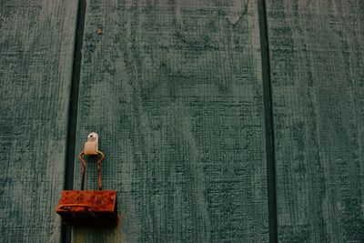 Close-up of food on table