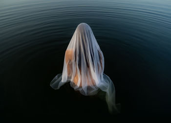 Rear view of woman with wearing veil standing amidst water
