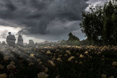 Cactus growing on field against storm clouds