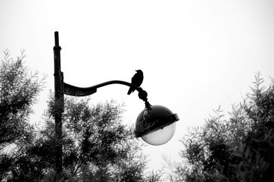 Low angle view of street light against clear sky