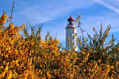 Low angle view of lighthouse against the sky