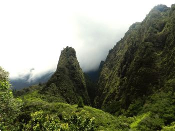 Scenic view of forest against sky