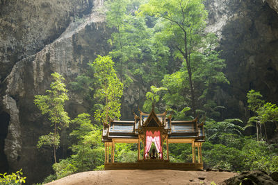 Man sitting by plants in forest