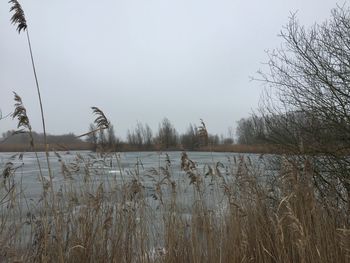 Scenic view of lake against sky during winter