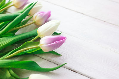 Close-up of purple tulip on table