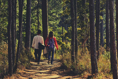 Rear view of women walking in forest