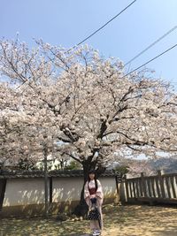 Full length of woman standing by cherry tree against sky