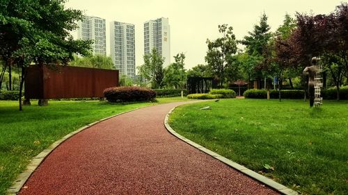 Footpath in park