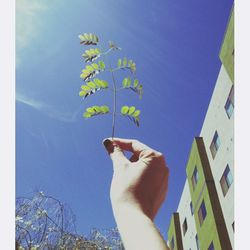 Low angle view of cropped blue sky