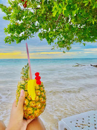 Cropped hand holding pineapple at beach against sky