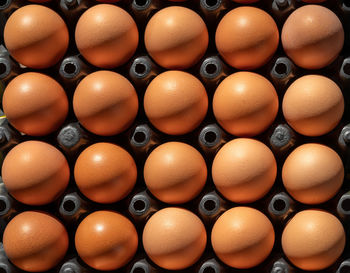 Close-up of eggs in carton