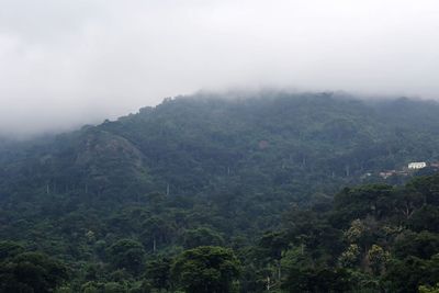 Scenic view of mountains in foggy weather