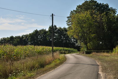 Road amidst trees against sky