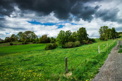 Scenic view of field against sky