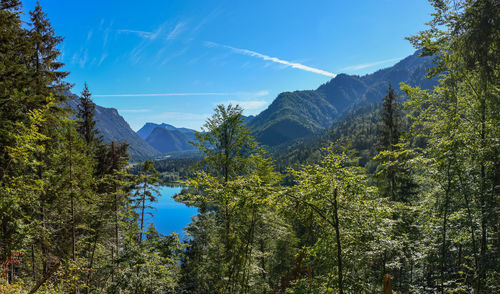 Scenic view of forest and mountains against blue sky